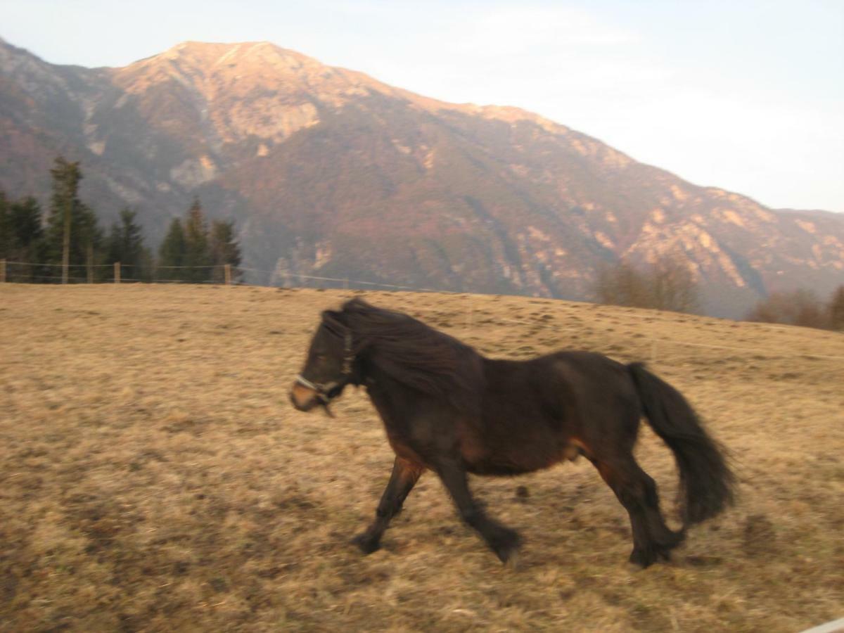 Haus Kaiser Passriach Екстер'єр фото